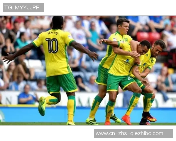 诺维奇主场迎战卡迪夫城期待精彩对决双方争夺关键积分